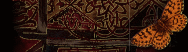 vorschau004001.gif